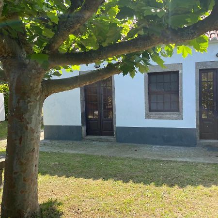 Villa Moradia Rustica Jardim à Caloura Extérieur photo