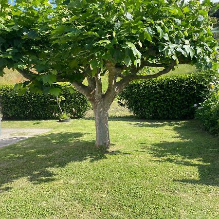 Villa Moradia Rustica Jardim à Caloura Extérieur photo