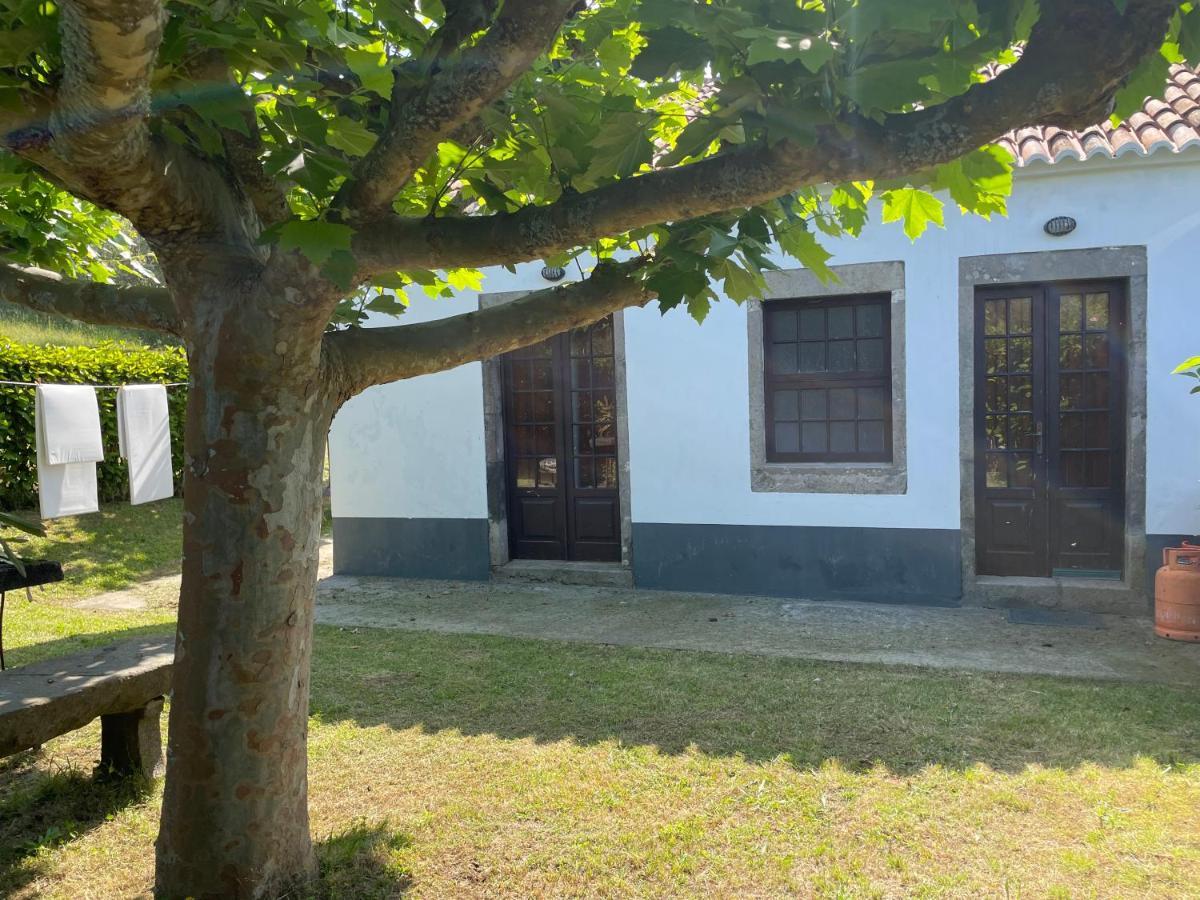 Villa Moradia Rustica Jardim à Caloura Extérieur photo