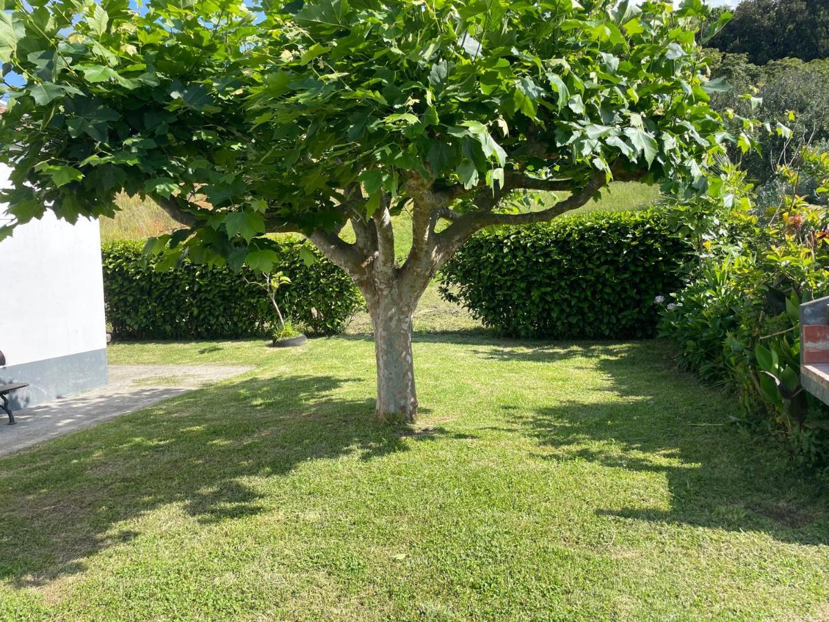 Villa Moradia Rustica Jardim à Caloura Extérieur photo